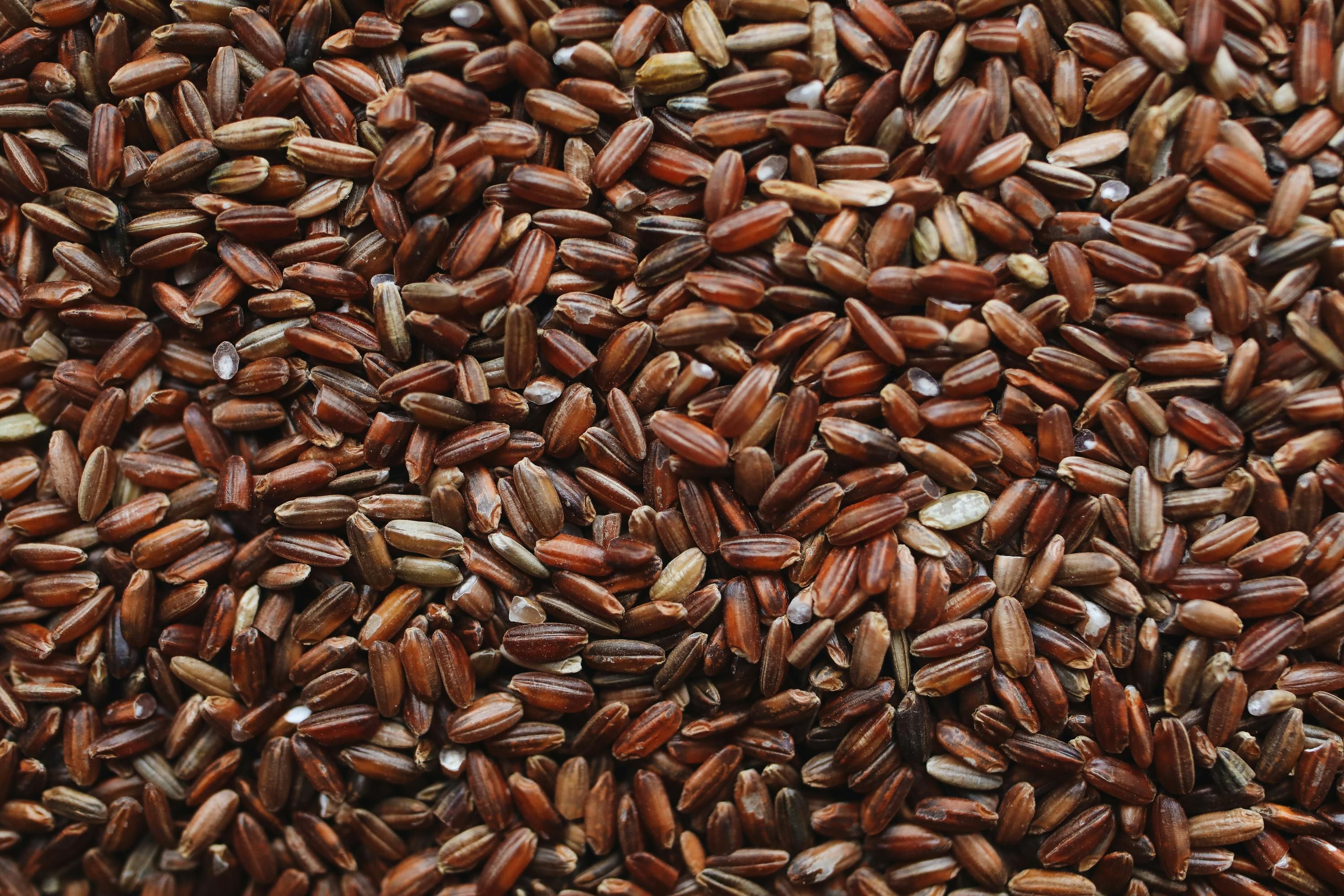 A bowl of wholesome brown rice, showcasing its role in supporting women's dietary fiber needs