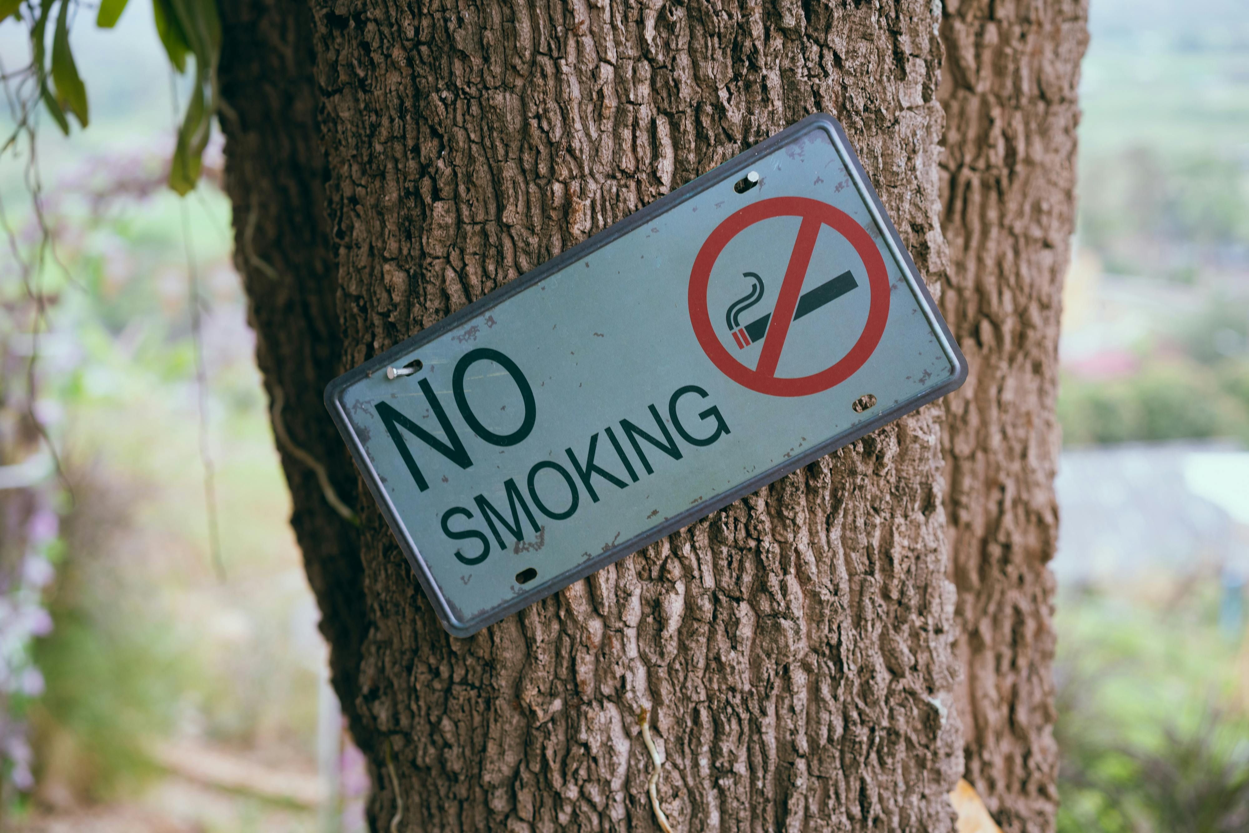 No smoking sign with a cigarette crossed out, symbolizing a smoke-free environment.