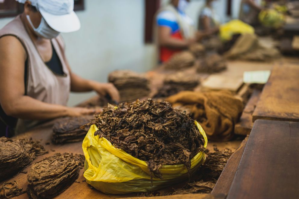 A woman facing health issues from snus use, including cancer risk, heart disease, reproductive problems, and dental concerns.